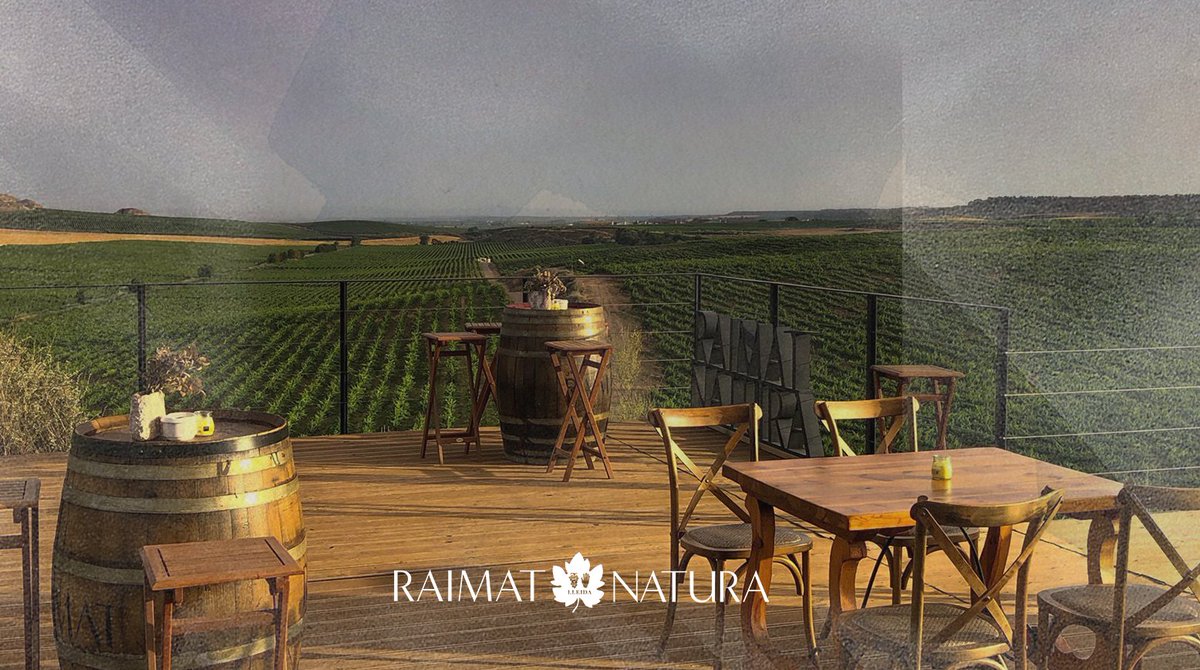RaimatVinos's tweet photo. ✨👨‍🍳 Creativity, tradition and local produce. ✨👨‍🍳 Xixo Castaño, the chef of our gastronomic space, is clear about his recipe for success. He must be right, as his restaurant has earned a Michelin star! 

 Find out more and book here! https://t.co/RZXBphH0Nr https://t.co/QIR3iJLAjI