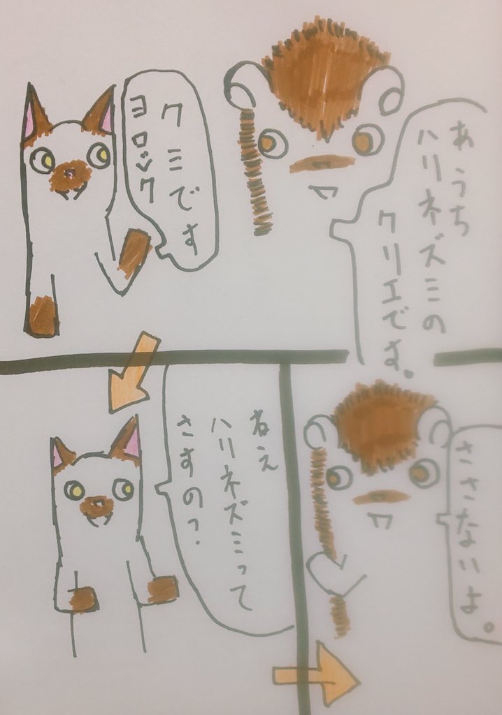 前にハリネズミカフェに行った時 友達からハリネズミってさすの? 
と聞かれ ささないよ? をテーマにした作品。♪
#イラスト #絵師さんと繋がりたい #作品 #作品撮り #絵 #ほっこり 