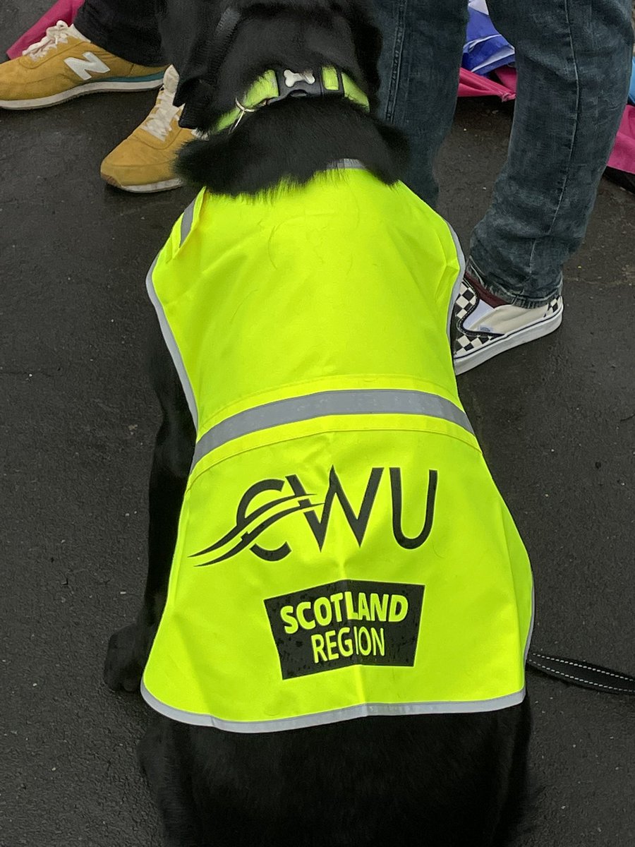 cwu_scotland's tweet photo. @CWUnews Scotland Region stepping this dispute up a level and ready for a dog fight with @RoyalMail .
LEO suited and booted. #DogsinDispute #PupsonPickets https://t.co/Mvm2QK6M90