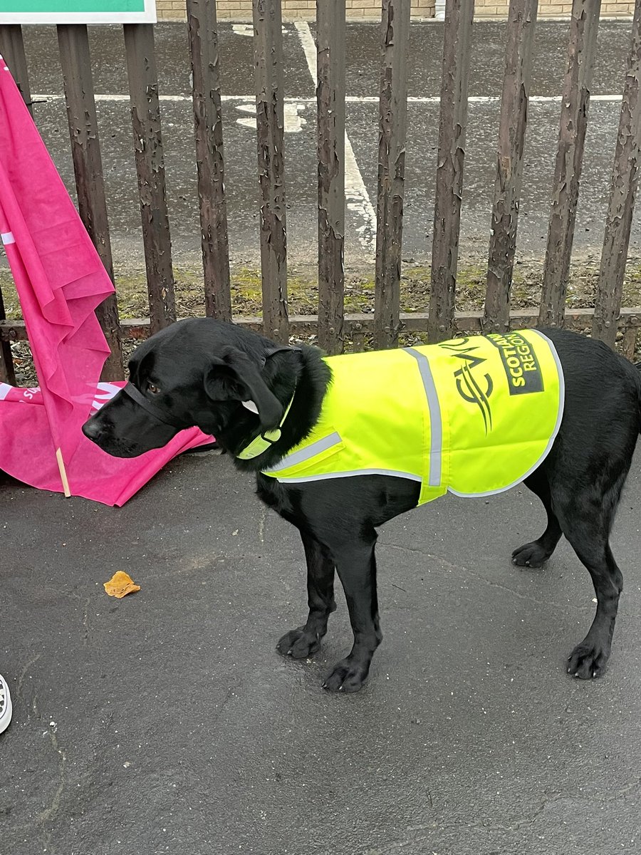 cwu_scotland's tweet photo. @CWUnews Scotland Region stepping this dispute up a level and ready for a dog fight with @RoyalMail .
LEO suited and booted. #DogsinDispute #PupsonPickets https://t.co/Mvm2QK6M90