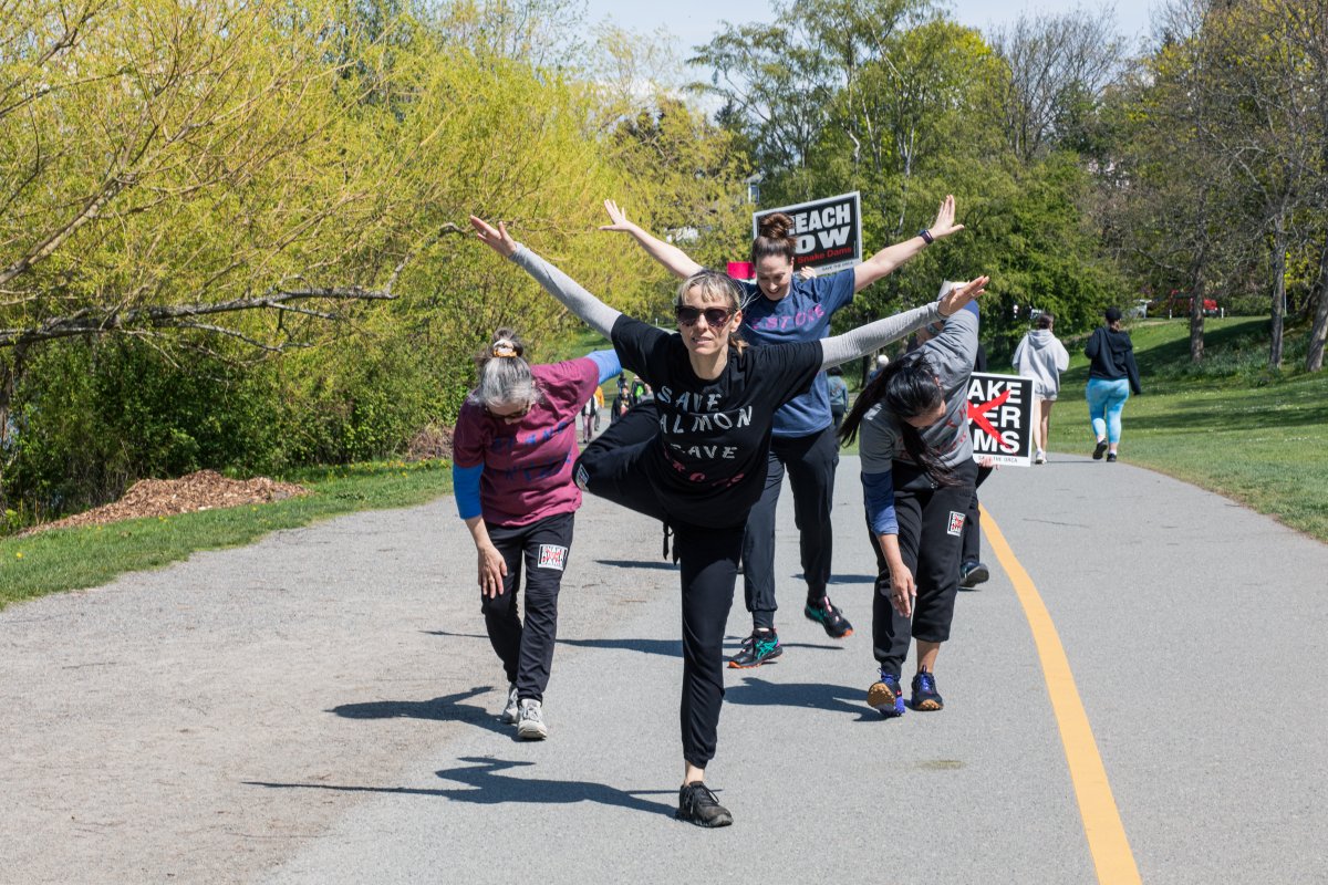 Dance is vital to restoring our ecosystems for the human and #morethanhuman. So, with my fellow dance artists and activists, for @NatlWaterDance 2022, we danced and walked for the removal of the four lower Snake River Dams to restore our wild salmon species. 

#savesalmon