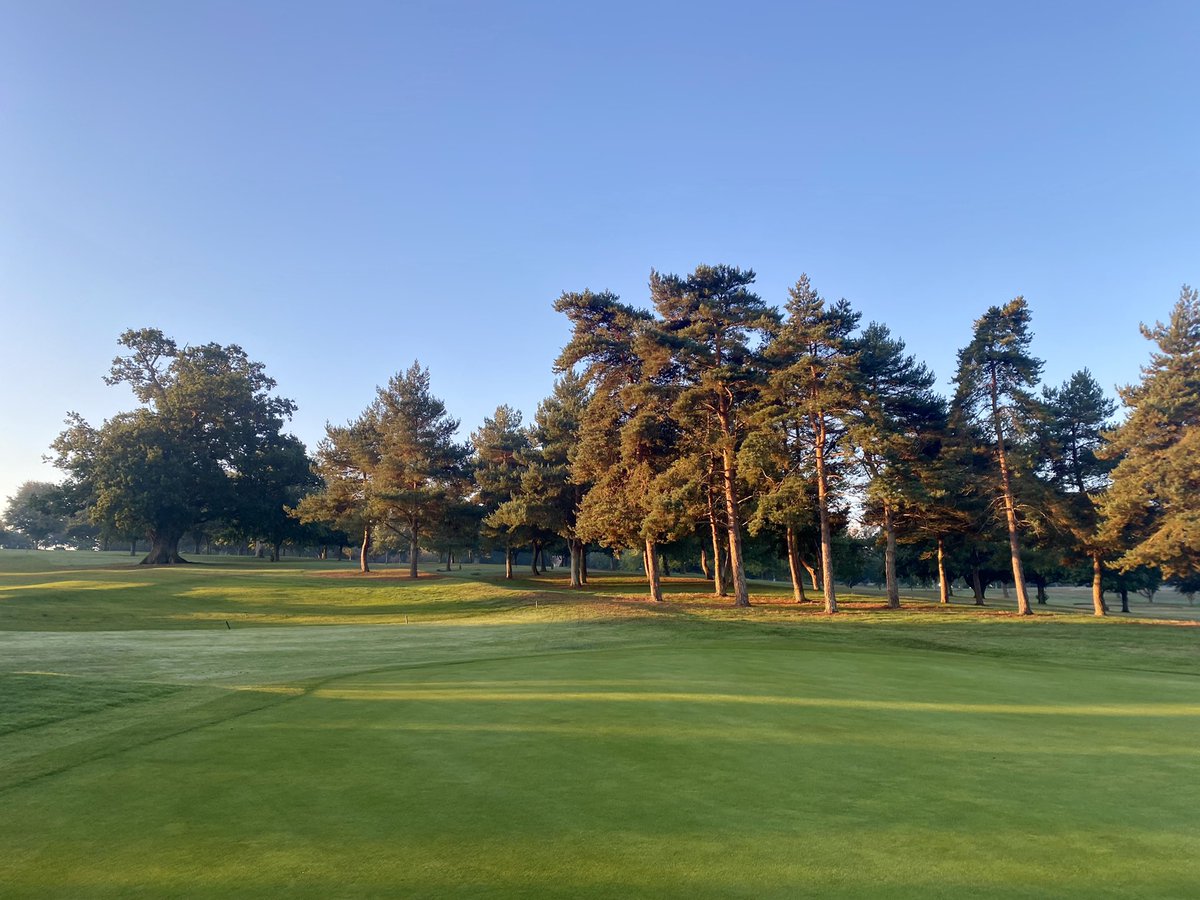 Ryan_n91's tweet photo. Tranquil mornings 🌅⛳️
 @stowgolfclub https://t.co/KI3QdXT9HJ