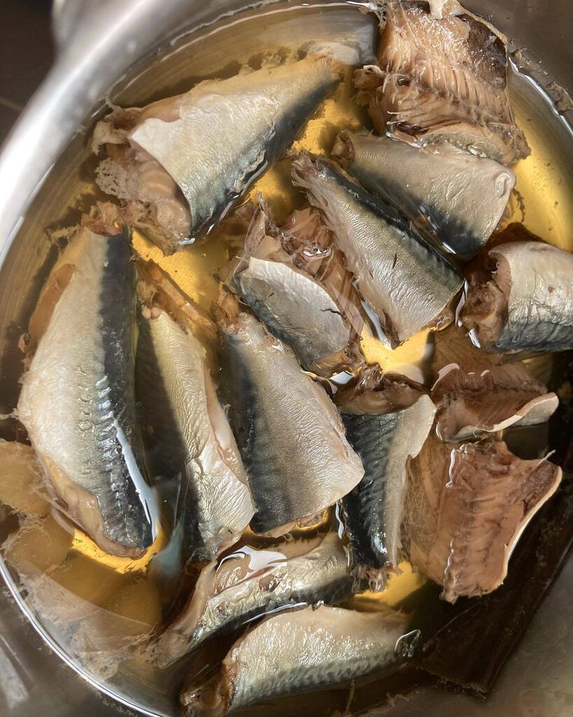かしまし 通算24泊目 Wolt配達員 Kashimasicamp Twitter