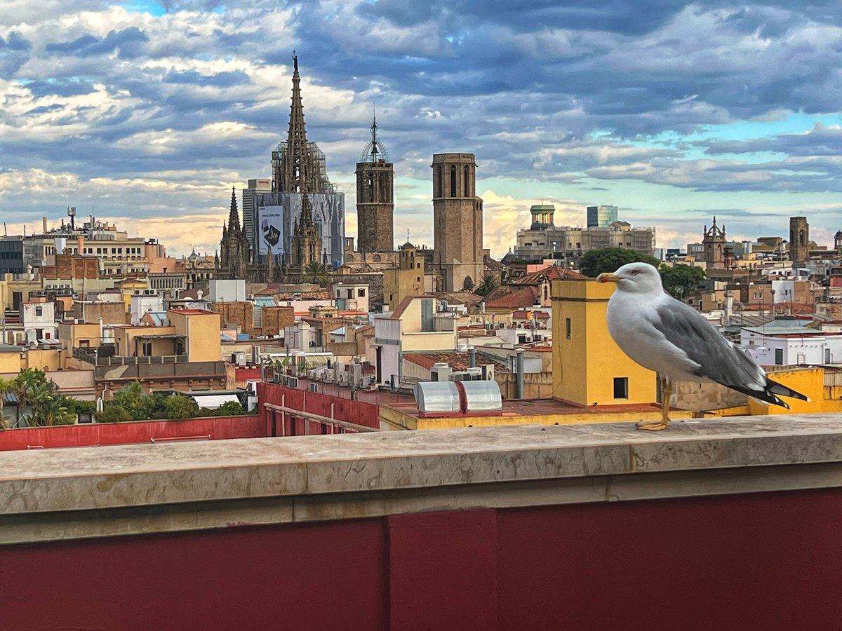 #FridayView #barcelona