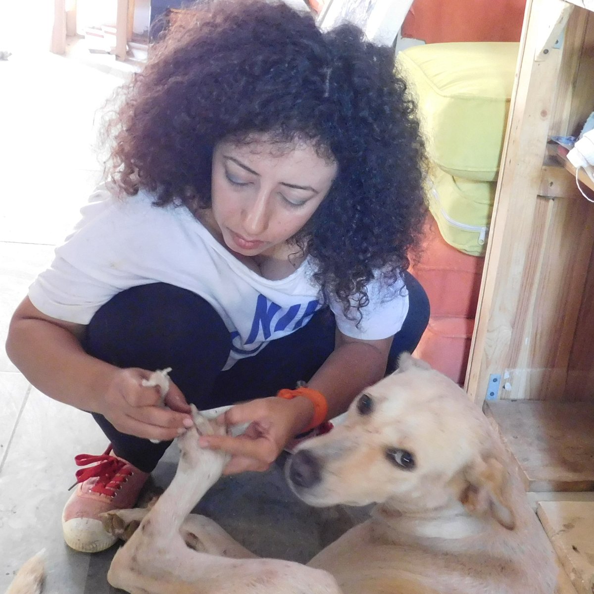 Noha Nael #NFT tweet media