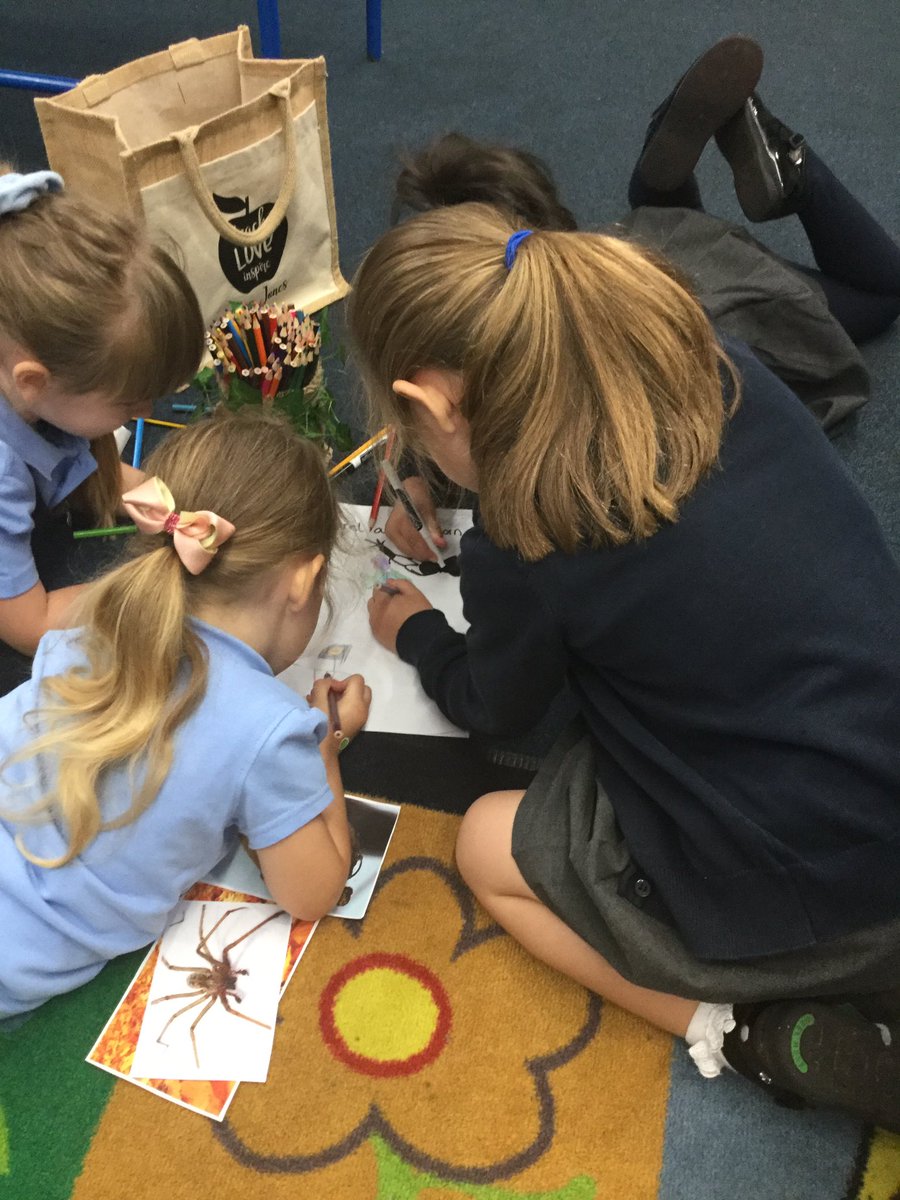 Reception - Mrs Jones tweet media