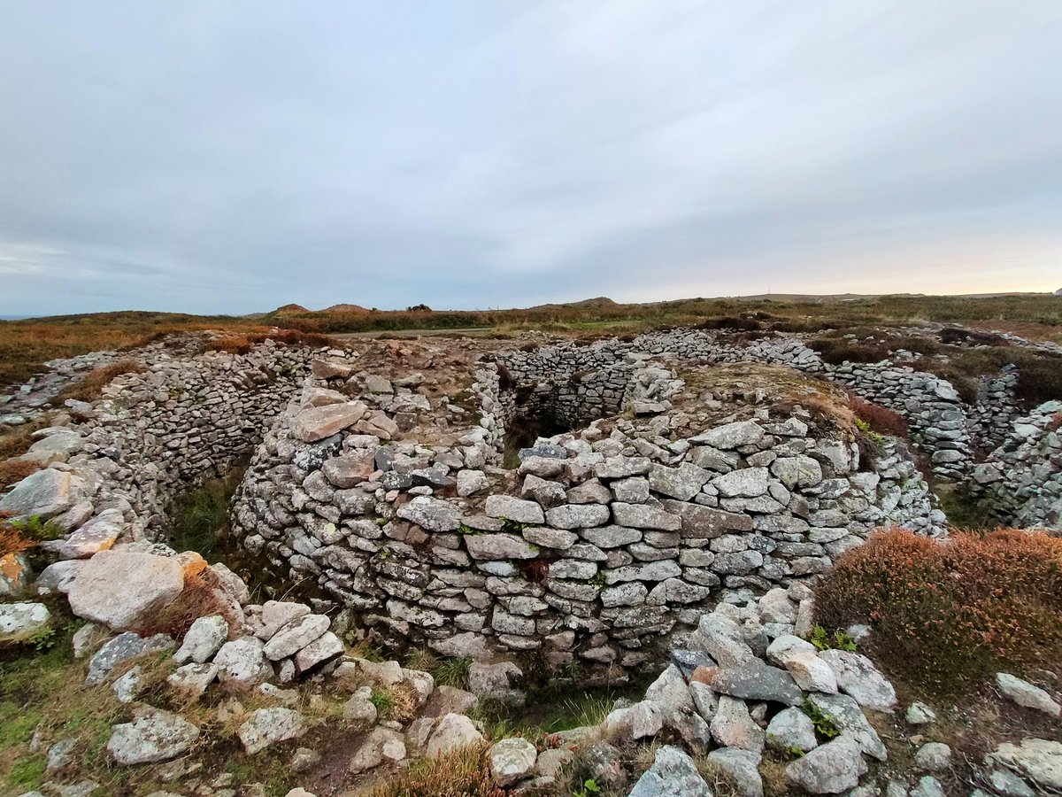 JanTrathen's tweet photo. Morning stroll #Ballowallbarrow
#Carngloose #Kernow
#LoveCornwall https://t.co/m5E4k0MsNs