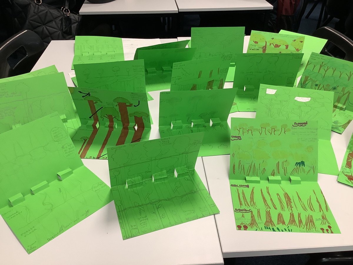 <a href="/Boness_Academy/">Bo'ness Academy</a> <a href="/BA_SocialSubs/">BA Social Subjects & RMPS</a> my S2 class made some great pop up rainforests to demonstrate their understanding of the adaptations of the plants in the different layers 🌳