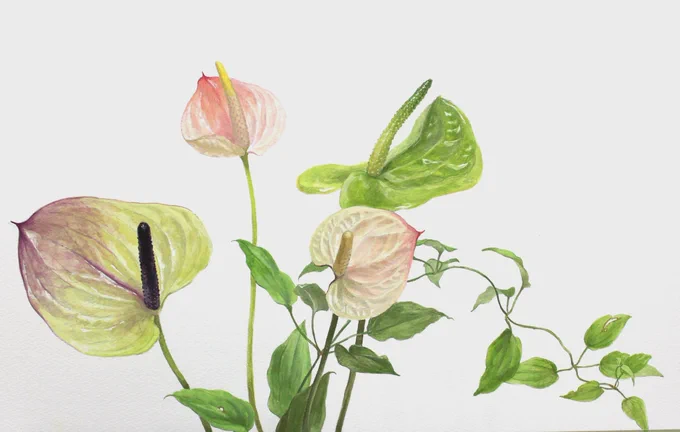 明日からです◎・穏やかな日常 巡回展・詩穂音(茨城県日立市)・2022年10月1日〜10月31日(※DMに記載の営業時間・休業日の詳細をご確認くださいませ。)私は10月8、9日に在廊予定です。喫茶でもある詩穂音さん、初めてお伺いするので楽しみにしております 
