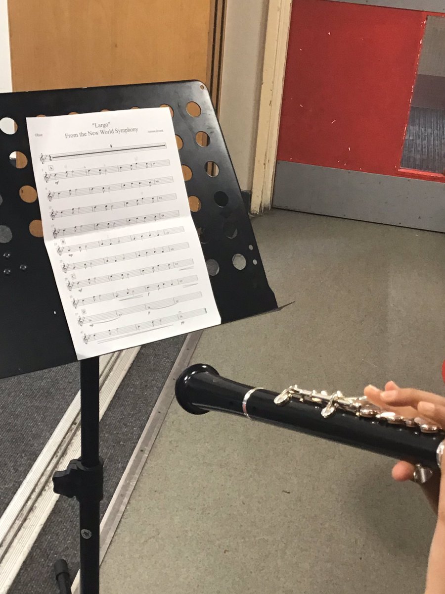 Halley Year 3 tweet media