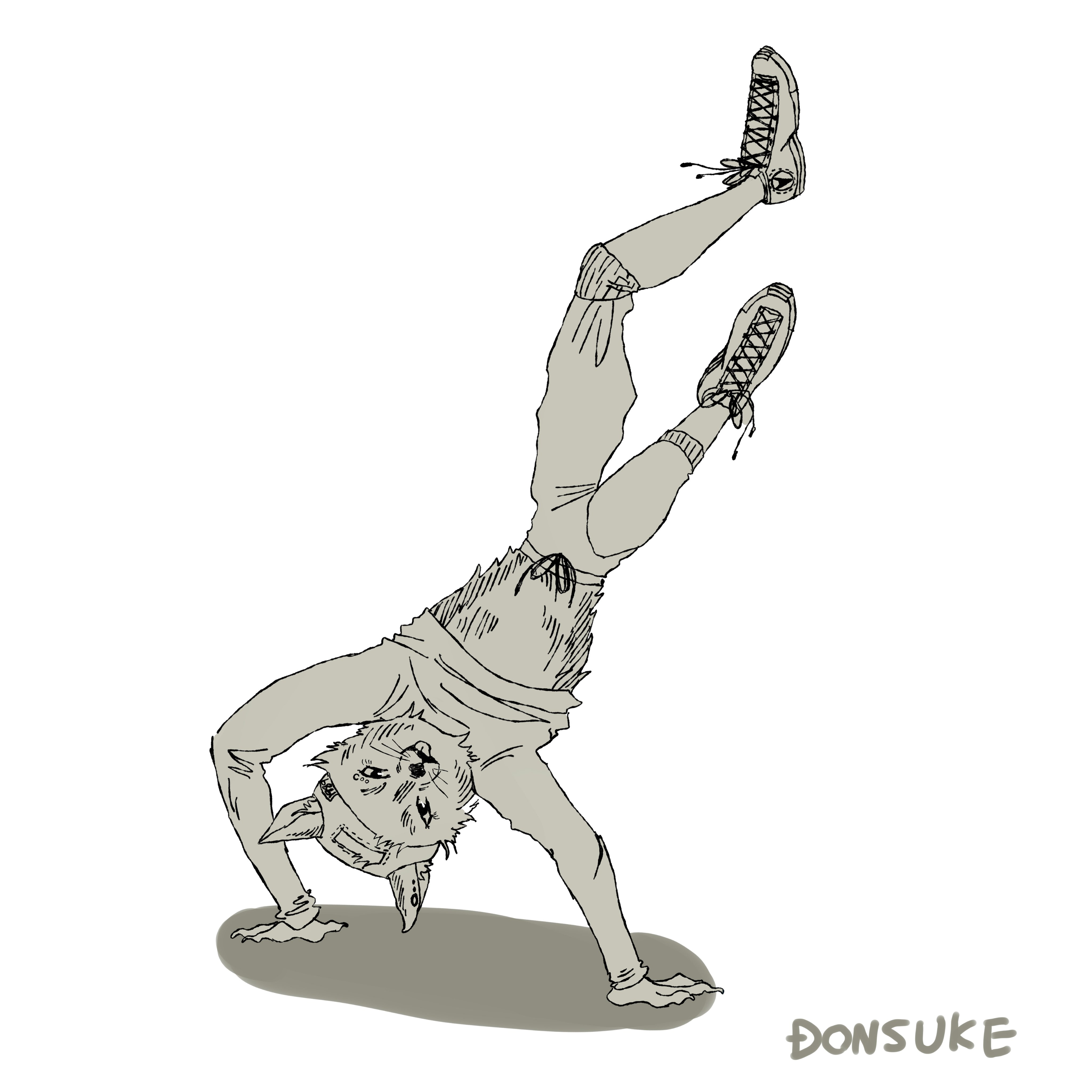 Donsuke どんすけ Tabata Donsuke Twitter