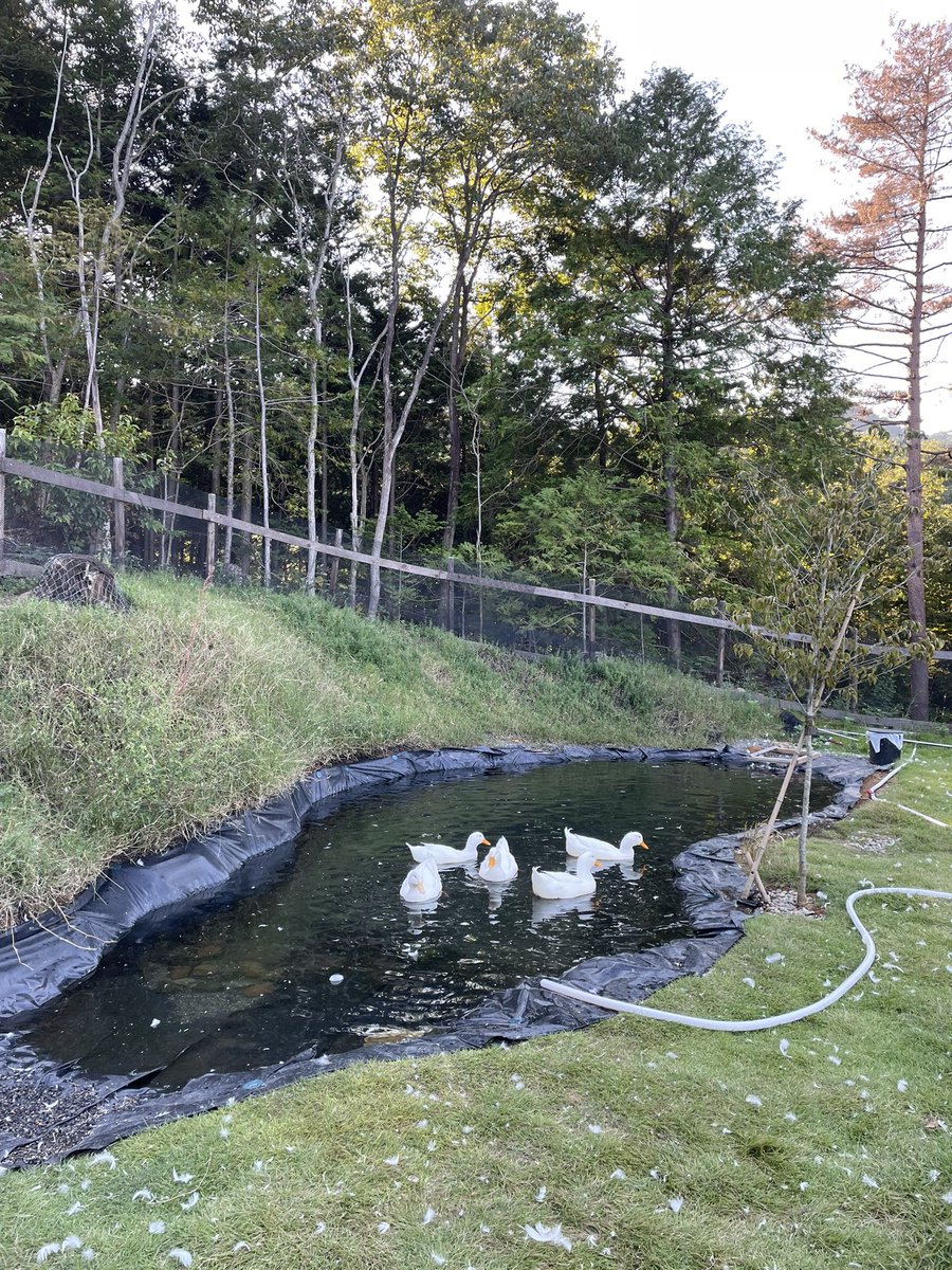 55kunPCX160's tweet photo. キャンプデビューしました⛺️
めっちゃ楽しい😆😆😆 https://t.co/Cbdum9nVyH