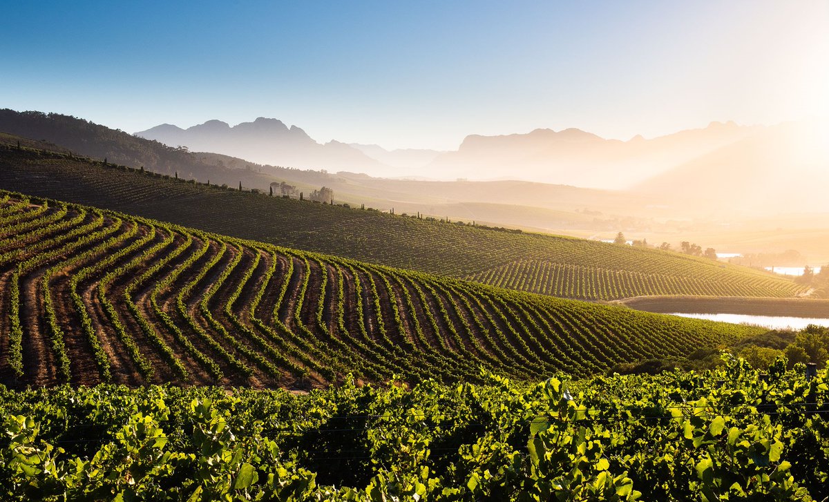 Congratulations to Jordan Wine Estate and Kanonkop Wine Estate! The International Wine & Spirits Competition (IWSC) has respectively named these estates as the Best White Wine and Best Red Wine Producer of 2022. 🍾🍷🏆