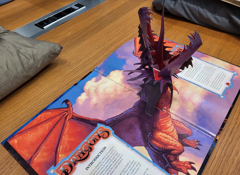 Aan het einde van onze ALV bij het <a href="/NHArchief/">NHArchief</a> heeft conservator Oude Boekerij en Bijzondere Collecties Hannah Goedbloed ons verteld over deze collecties. De bibliotheek heeft niet alleen oude drukken maar ook kunstenaars en pop-up boeken.