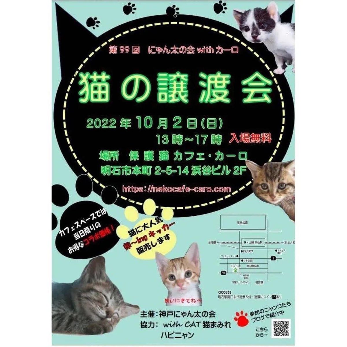 保護猫カフェ カーロ Nekocafe Caro Twitter 保護猫カフェ カーロ Nekocafe Caro Twitter