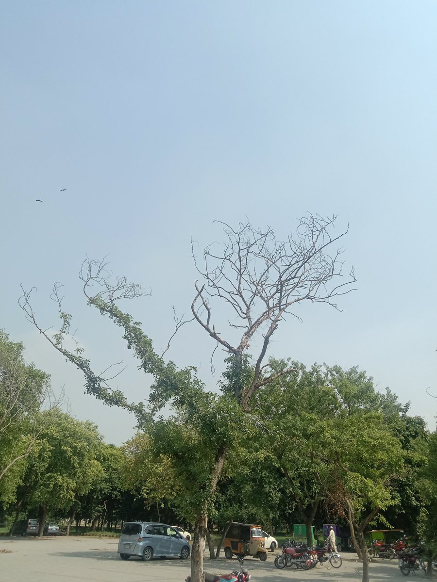 azuu_graphy's tweet photo. Punjab university lahore❤

#AudioLeaks 
#audioleak 
#punjabuniversity https://t.co/s1GzeRJgN3