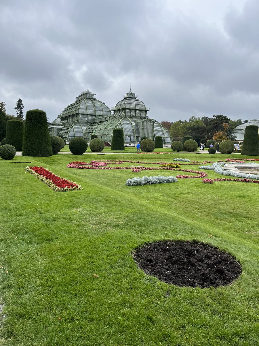 pachlerroman's tweet photo. ๐ฆ๐น๐#wienliebe๐๐ฆ๐น
๐ฆ๐น๐#Schรถnbrunn ๐๐ฆ๐น
๐ฆ๐น๐#Austria๐๐ฆ๐น
๐ฆ๐น๐ฅฐ#zusammenhalten๐ฅฐ๐ฆ๐น
๐ฆ๐น๐#รsterrech๐๐ฆ๐น๐#Wien๐๐ฆ๐น
๐๐ปโโ๏ธ #stayalive #bleibgesund
โผ๏ธโผ๏ธ๐๐ปโโ๏ธ#halteAnstand ๐คท๐ปโโ๏ธโผ๏ธโผ๏ธ
Morgensport ๐คช๐คช https://t.co/oXpou1brGm