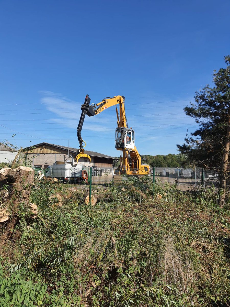 XwatchS's tweet photo. Can't see the wood for the trees? Xwatch bespoke solutions for mechanical tree work...
Read the full story on our new website - follow the link below.

https://t.co/tExSq3uRiV https://t.co/4FUSFRGlkF