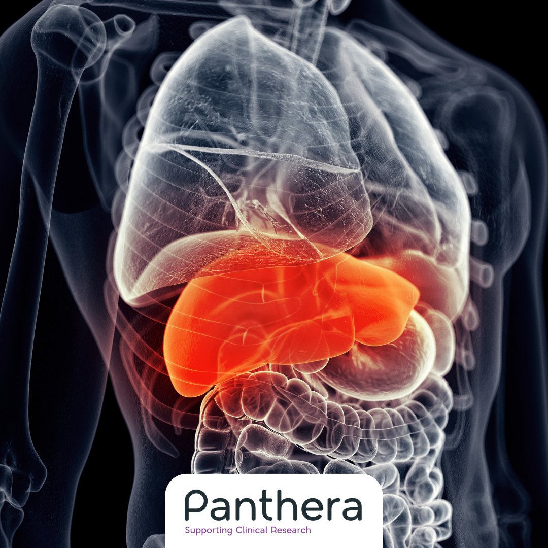 The 3 main causes of liver disease are:
1: obesity
2: an undiagnosed hepatitis infection
3: alcohol misuse

Book your FREE Fibroscan today, text ‘RESEARCH’ to 88008.