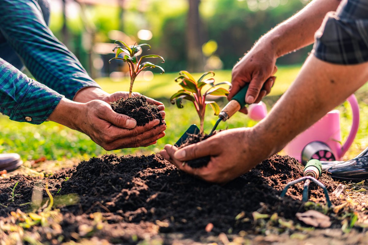 regionetoscana's tweet photo. #Agricoltura sociale: il bando per l'annualità 2022 prorogato al 25 ottobre 2022. Per partecipare è necessario creare gruppi di cooperazione tra aziende agricole o forestali e soggetti a finalità sociale https://t.co/Zw3fHIG0xw #PSRToscana #fondieuropei @giovanisi https://t.co/44MtyRnHAE