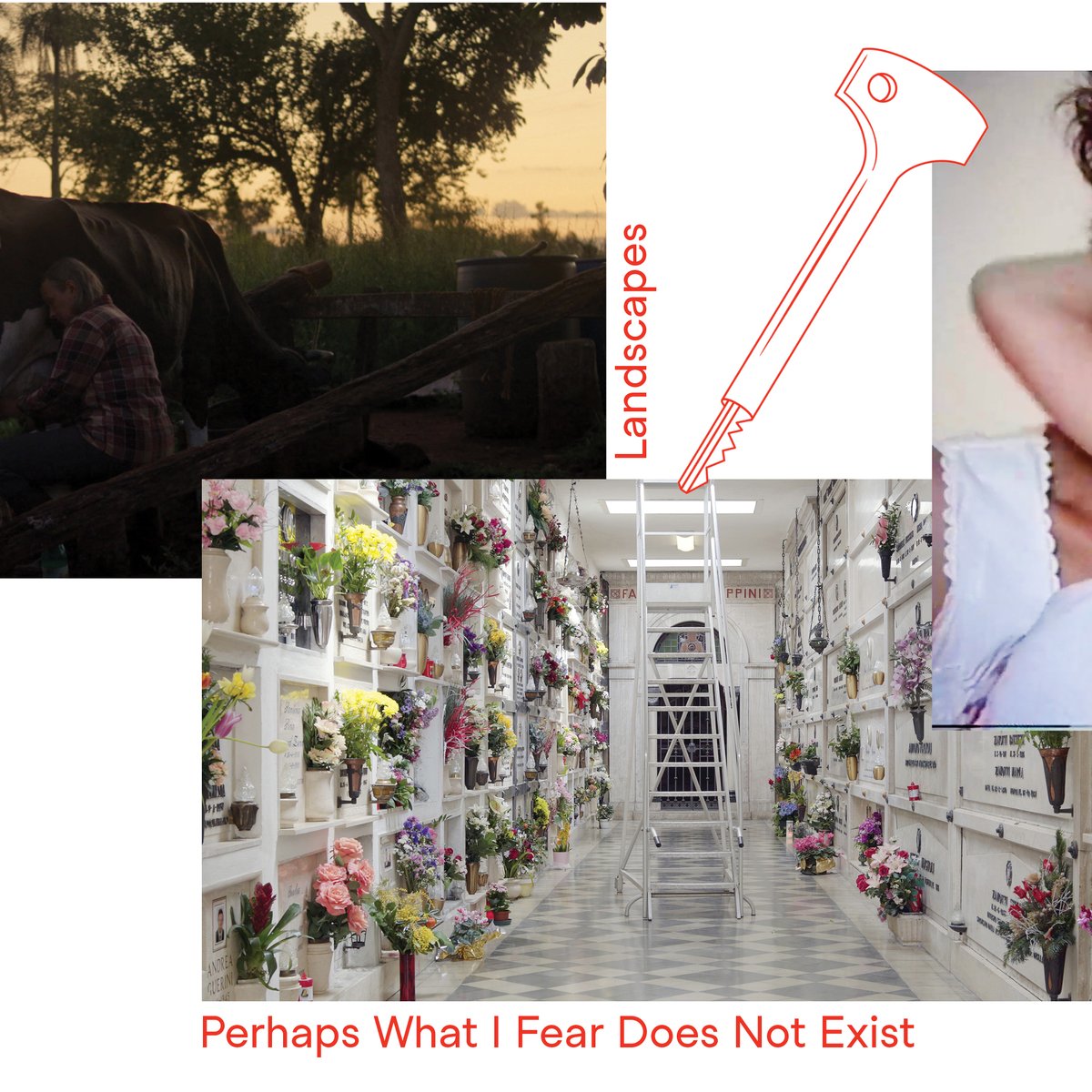 DOK_Leipzig's tweet photo. Introducing our INTERNATIONAL COMPETITION: From observational style to performative dramatisations or the creative appropriation of archived images: These are the long films all competing for one Golden Dove and one Silver Dove.
Curious what they're about?
https://t.co/PuAS8Jt9C3 https://t.co/V9hV2sqzzo