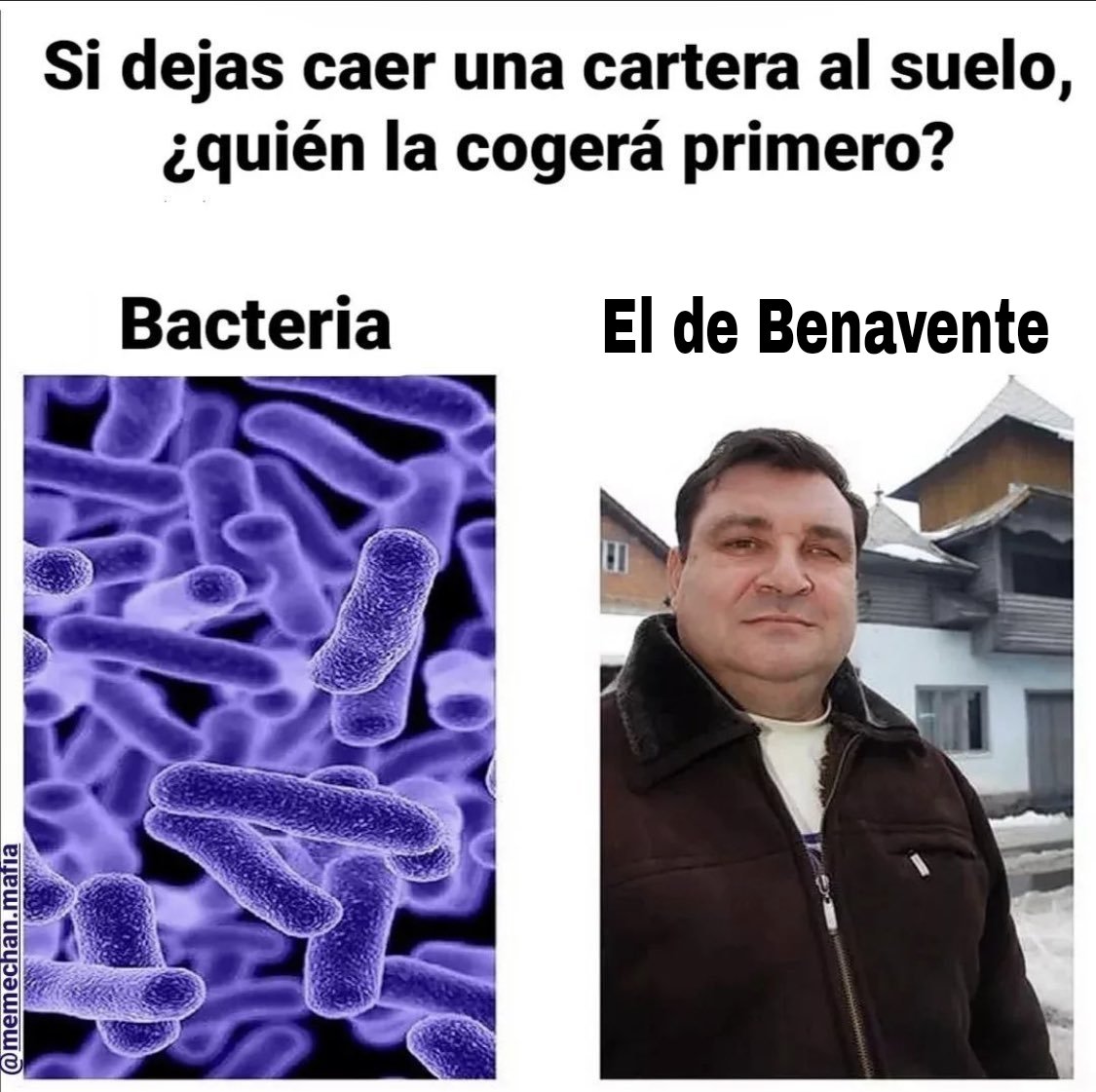 memes_zamora's tweet photo. Mañana voy a Benavente

Volveré? https://t.co/c4sWf8PS3P
