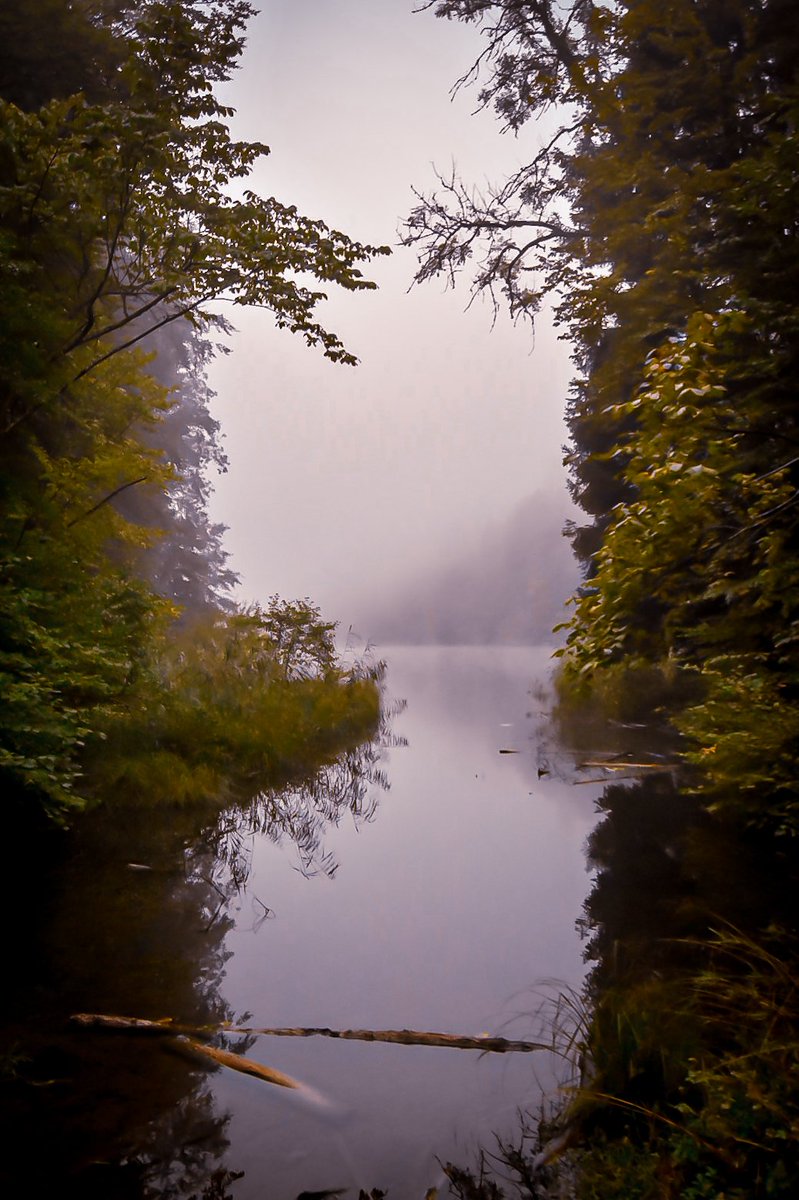 littleswisslady's tweet photo. #Hasenberg
#MutMachMomente
#Egelsee https://t.co/Avh4Y2M38P