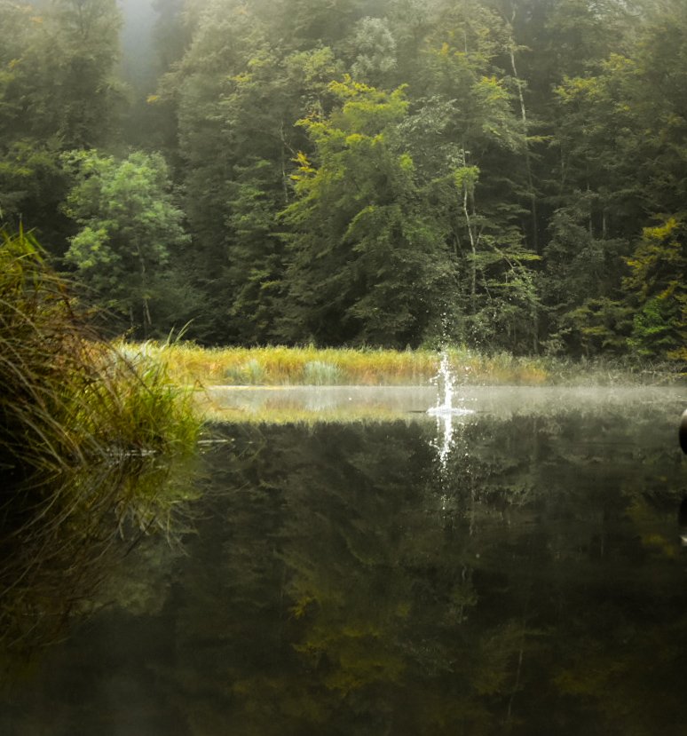littleswisslady's tweet photo. #Hasenberg
#MutMachMomente
#Egelsee https://t.co/Avh4Y2M38P