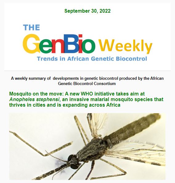 AfricaGeneBio's tweet photo. Get updated with the latest developments in genetic biocontrol by reading and subscribing to our latest weekly newsletter that comes out every Friday. 

View newsletter: https://t.co/VrtSyTbxBL 

Subscription link: https://t.co/6gjUiNqRZ0 

#GenBioWeekly https://t.co/evdJ0T0PvE