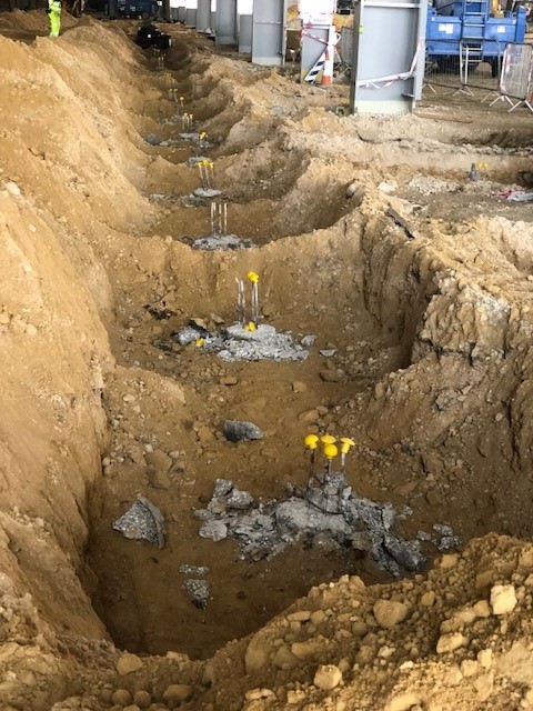 SNaNicholas's tweet image. @info_sna ducks in a row