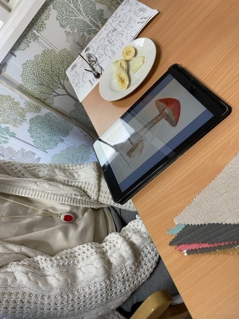 leedslibraries's tweet photo. Wonderful magical #Mushroom #bunting parties @Artsincarehomes yesterday, inspired by Coloured Figures of English #Fungi by Sowerby. 
Residents enjoyed seeing #digitised #autumnal hand coloured illustrations. For some this was their first go on an iPad #ArtLibrary #AICH2022 📚🧵🍄 https://t.co/qLoZIcGKz1