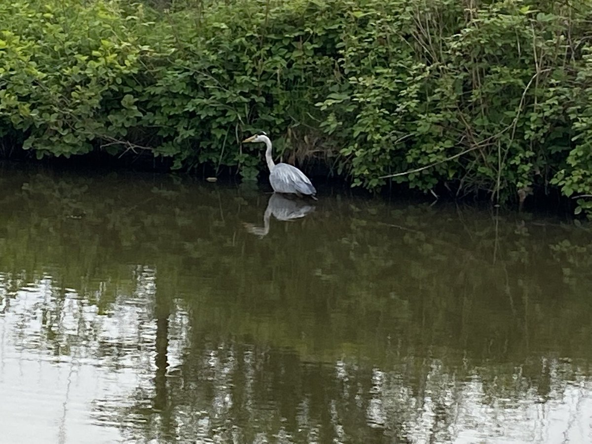 Simon Walker tweet media