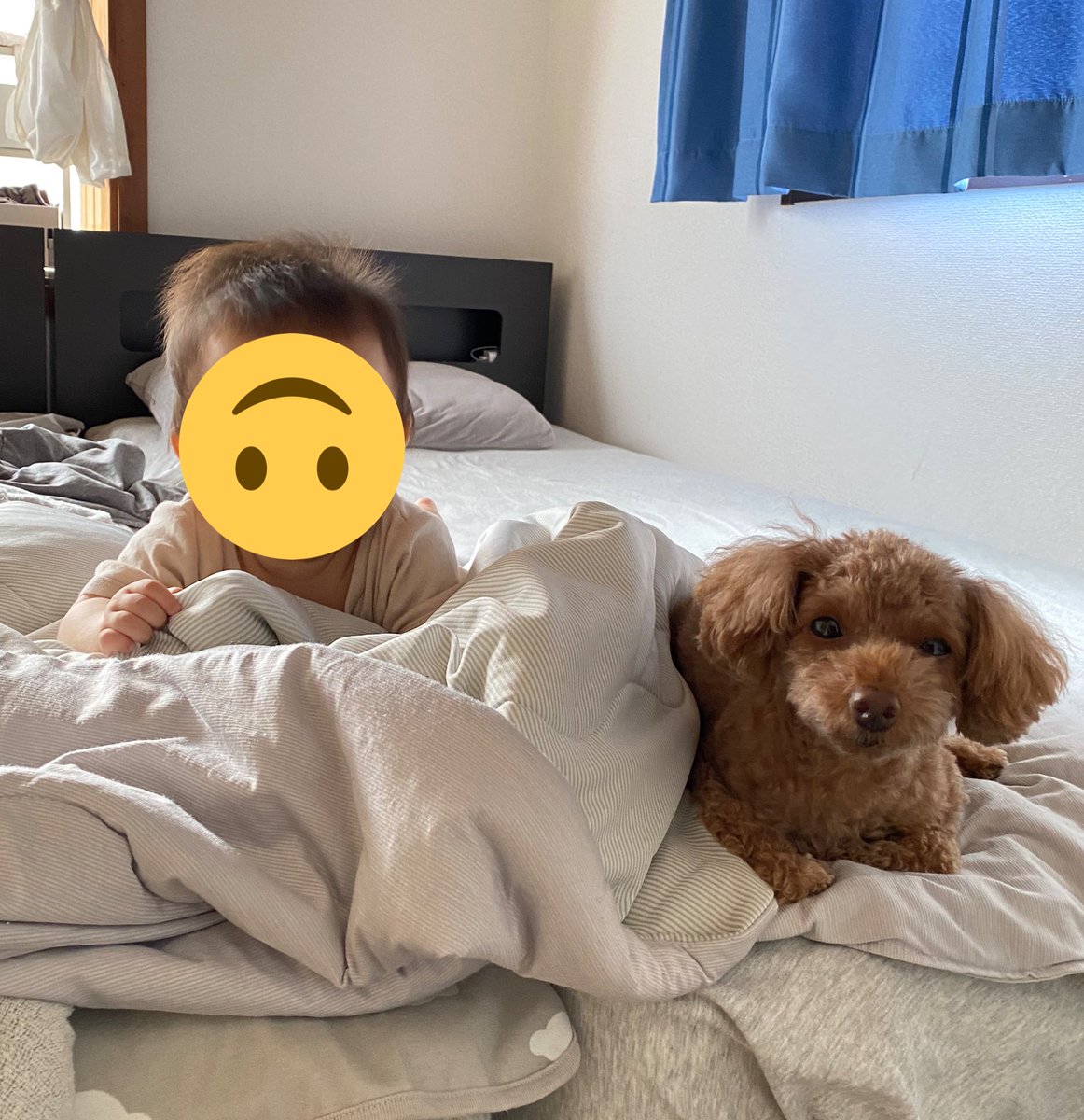 BlogYuzupon's tweet photo. 今日はパパがお泊まりでいないので、

2人とのんびり過ごします☺️🌟 https://t.co/uyLuaEcTZ5