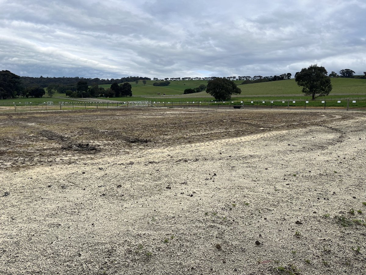 MiltonSite's tweet photo. Last week one of the Vickery Bros spreader drivers applied lime to the
Milton Trial Site in preparation for sowing summer crop trials. Fingers crossed for a few dry days soon so we can get sowing!
#VickeryBros #McDonaldRuralServices #lime #summercrop #trials https://t.co/GuhlqTcjBR