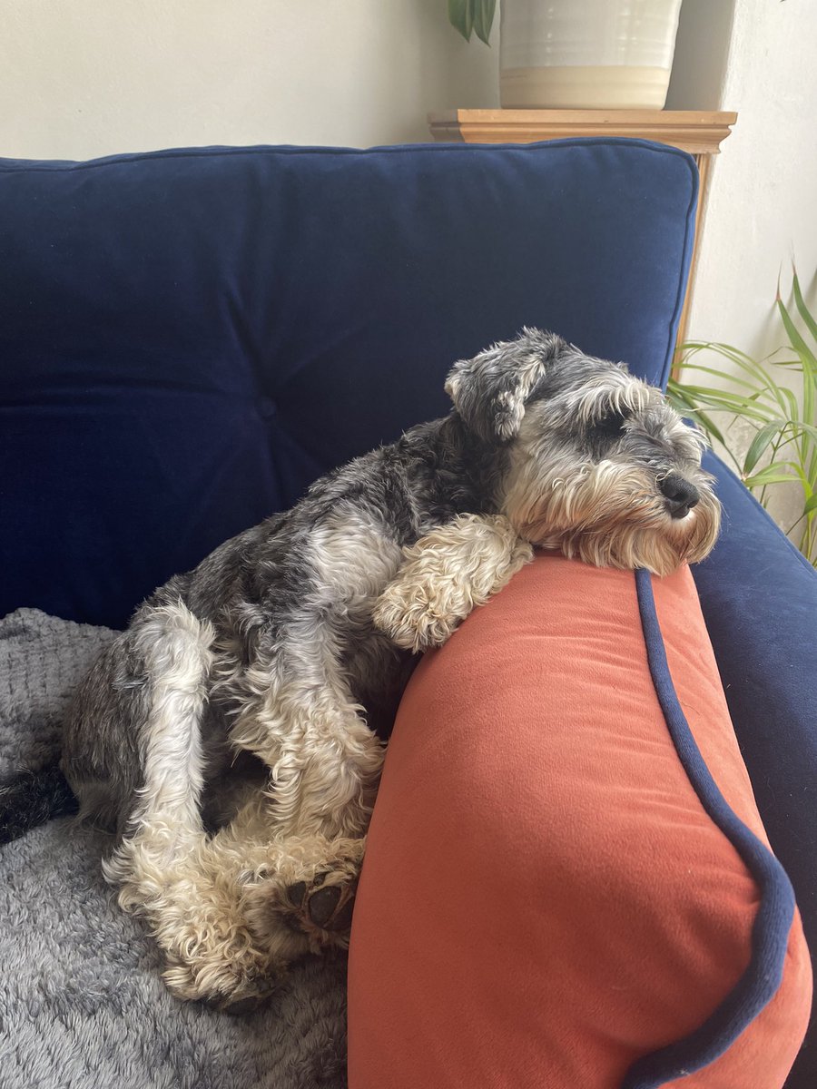 Susan Calman tweet media