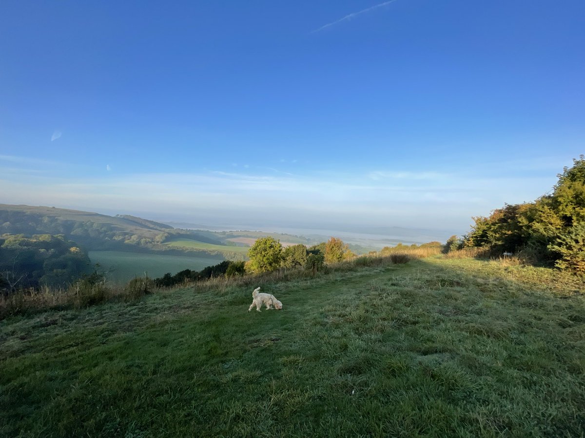 ysanneT1D's tweet photo. Now that’s a start to the day #EarlyWin #dogwalk #views #peaceful #oldwinchesterhill #goodwalk https://t.co/FaR5TIynnV