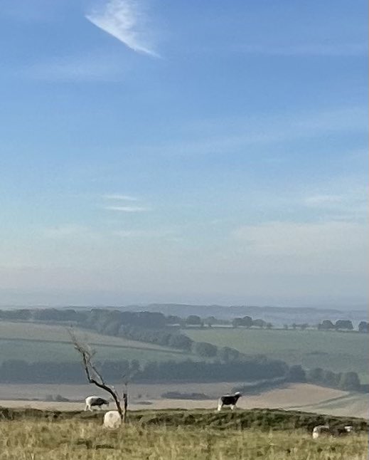 ysanneT1D's tweet photo. Now that’s a start to the day #EarlyWin #dogwalk #views #peaceful #oldwinchesterhill #goodwalk https://t.co/FaR5TIynnV