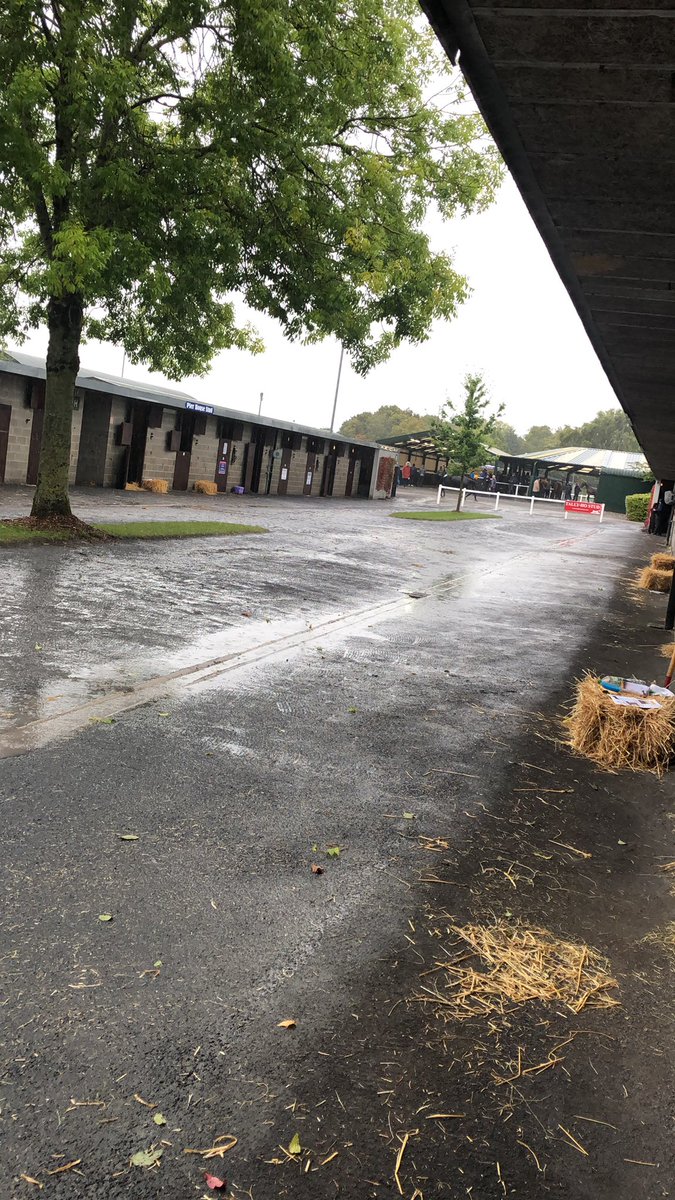 PrecisionBlood1's tweet photo. It’s a wet one down at @Goffs1866 today. Don’t miss the superstars down at Barn G though….. https://t.co/z067DX47wK
