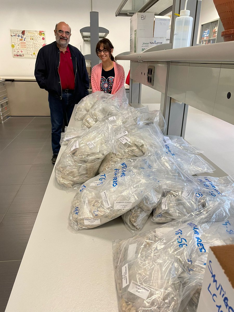 gemar_ieo's tweet photo. Nos reunimos con los compis de @IACT_divulga @UGRdivulga para seguir trabajando en el análisis de los testigos de sedimentos obtenidos en pockmarks del Canal de Mallorca, @LifeIntemares 

Intentaremos conocer la tasa de sedimentación, edad de los sedimentos y emisiones recientes https://t.co/Vd5xhrJm0w