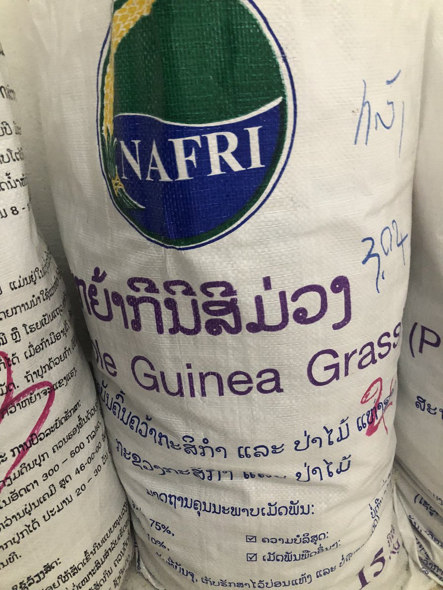 _mattdenton_'s tweet photo. Great to meet with our @ACIARAustralia partners from NAFRI and NUoL today in Laos and to visit superb field trials I’ve only previously seen online, due to being away for >2 years @waiteresearch @UofA_SET @DentonLab #forageoptions https://t.co/uAPzo3eqTa