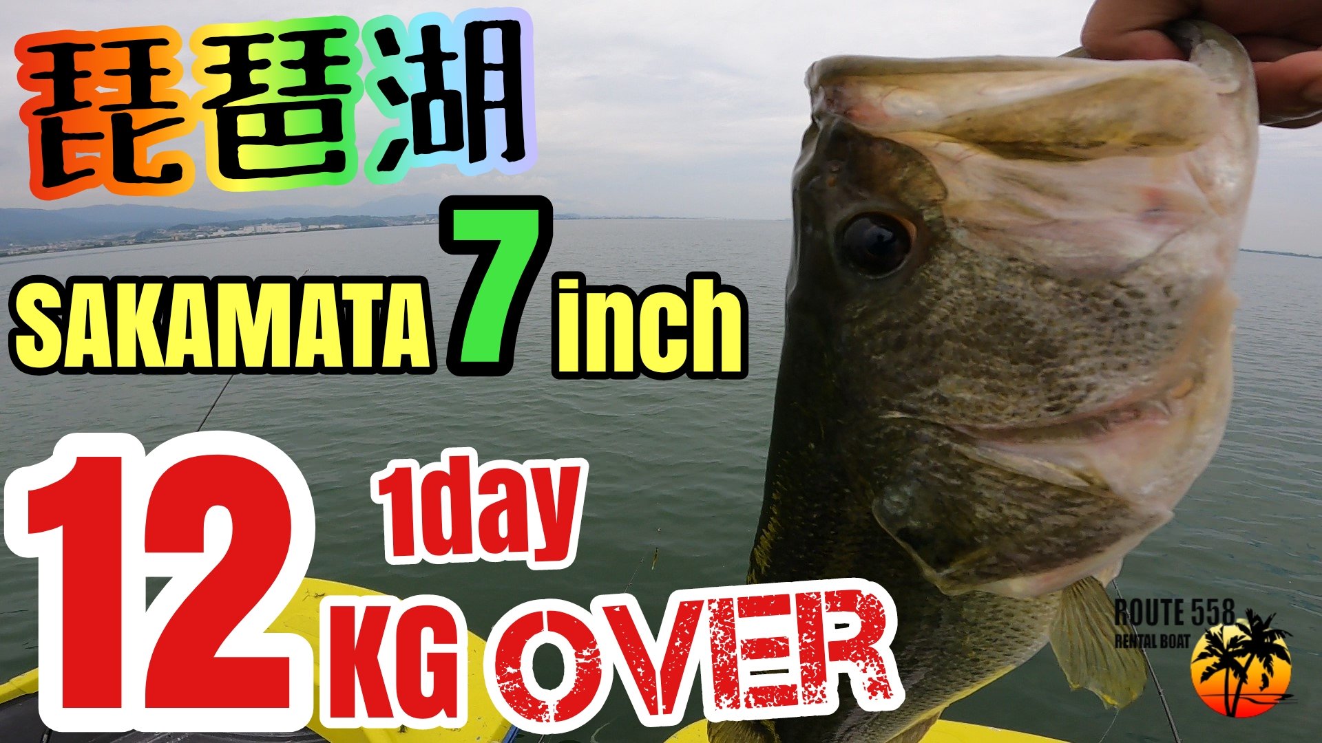琵琶湖釣り Twitter Search Twitter
