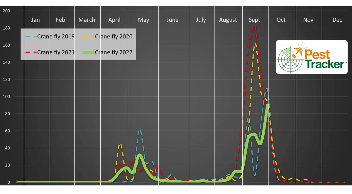 SyngentaTurfUK's tweet photo. Breaking : It's happening! 

Green line is where we are right NOW with the #cranefly flight. A wee bit later this year.

This is ALL based on your sightings logged on #PestTracker.....So it's super important to keep logging them. 

Thanks folks!

https://t.co/lTyAjHjf4y https://t.co/3UHQ6RHBSF