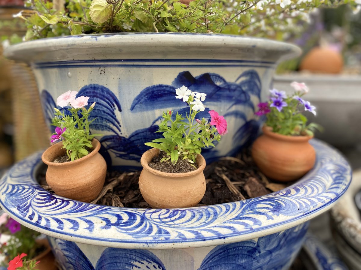 the_fair_earth's tweet photo. From our largest pots, to our littlest pots!
These are what we call our baby pots. Hand made in Sri Lanka, they are great for little plants and succulents, spices, trinkets and lots of other little things
Photo: Alice
#babypots #terracottapot #flowers #handmade #smallbusiness https://t.co/XxiJu6KwG8