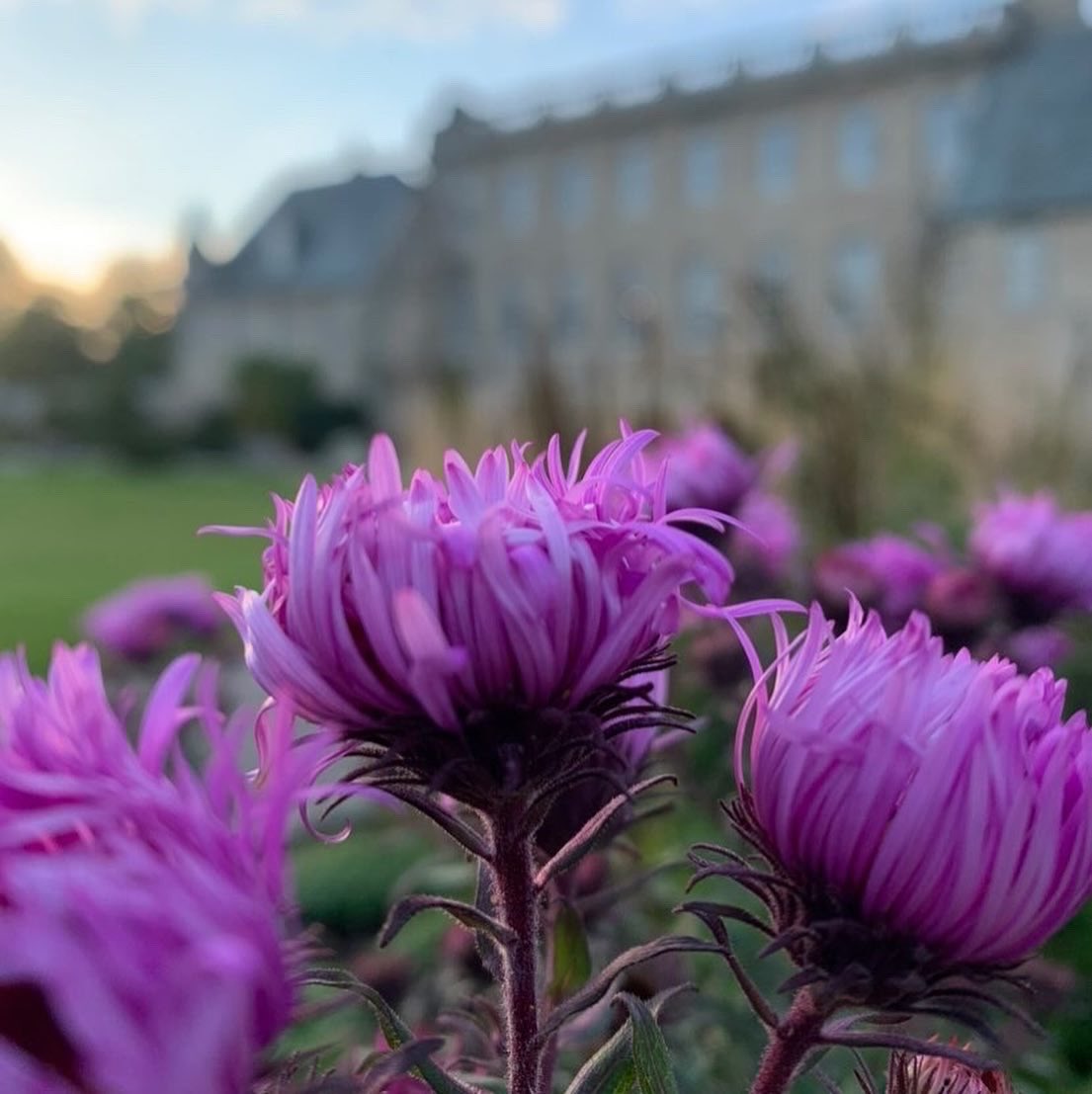 gordonstoun's tweet photo. It’s been an amazing couple of days at school - thanks to all staff and students for their support of @GordonstounD - and William G in @brucehse for these lovely shots 🟣 https://t.co/R18aSIma3u
