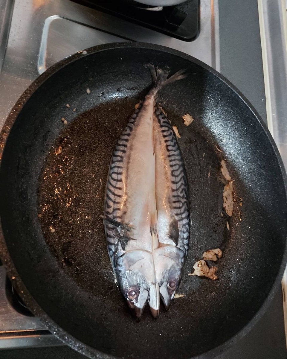 cb1112220's tweet photo. 有人想吃魚麼？有點點海鮮的味道哦 你們能習慣麼？ https://t.co/KAcYcv7rx6