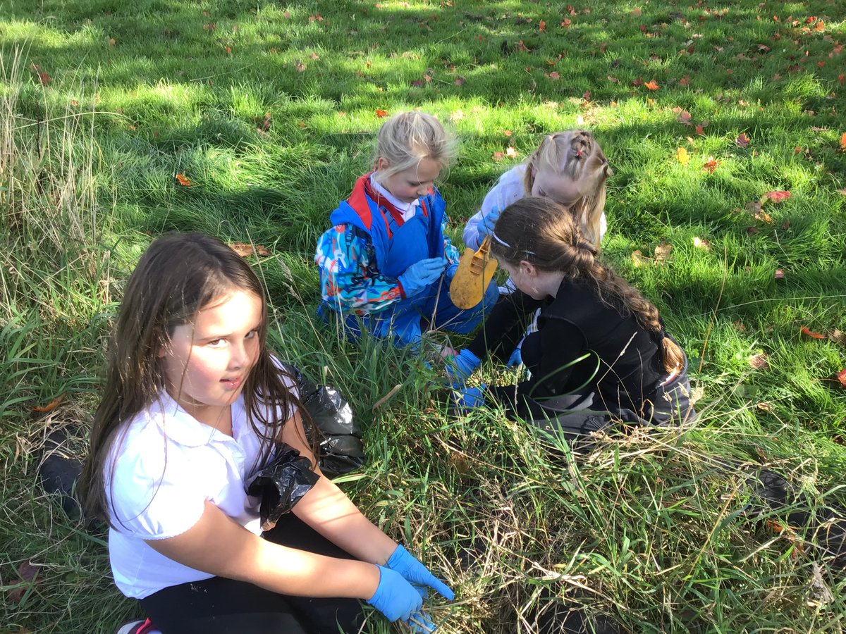 Uplawmoor Primary School tweet media
