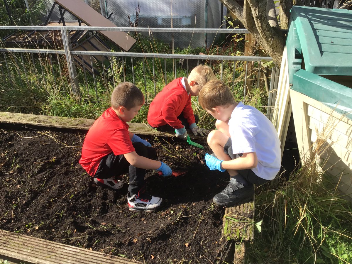 Uplawmoor Primary School tweet media