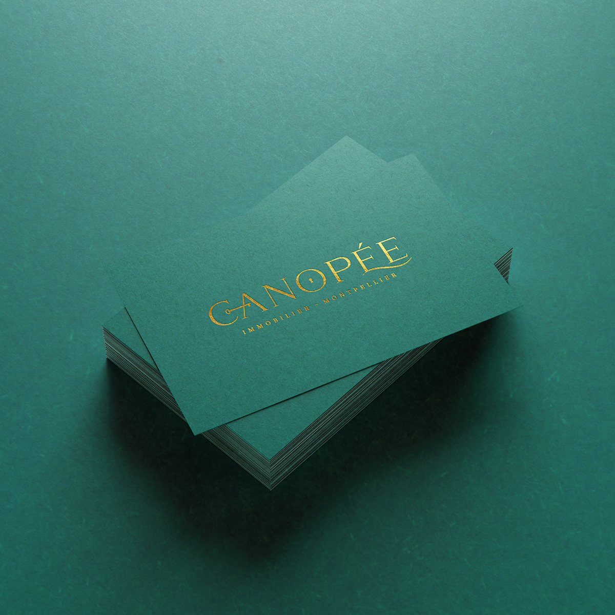Agence_Sweep's tweet photo. Print // Réimpression des cartes de visite pour Canopée Immobilier avec une dorure à chaud Or pour un rendu unique ✨

#impression #cartesdevisite #graphisme #dorureachaud #or #agenceimmobiliere #montpellier https://t.co/WNz1PhWaYj