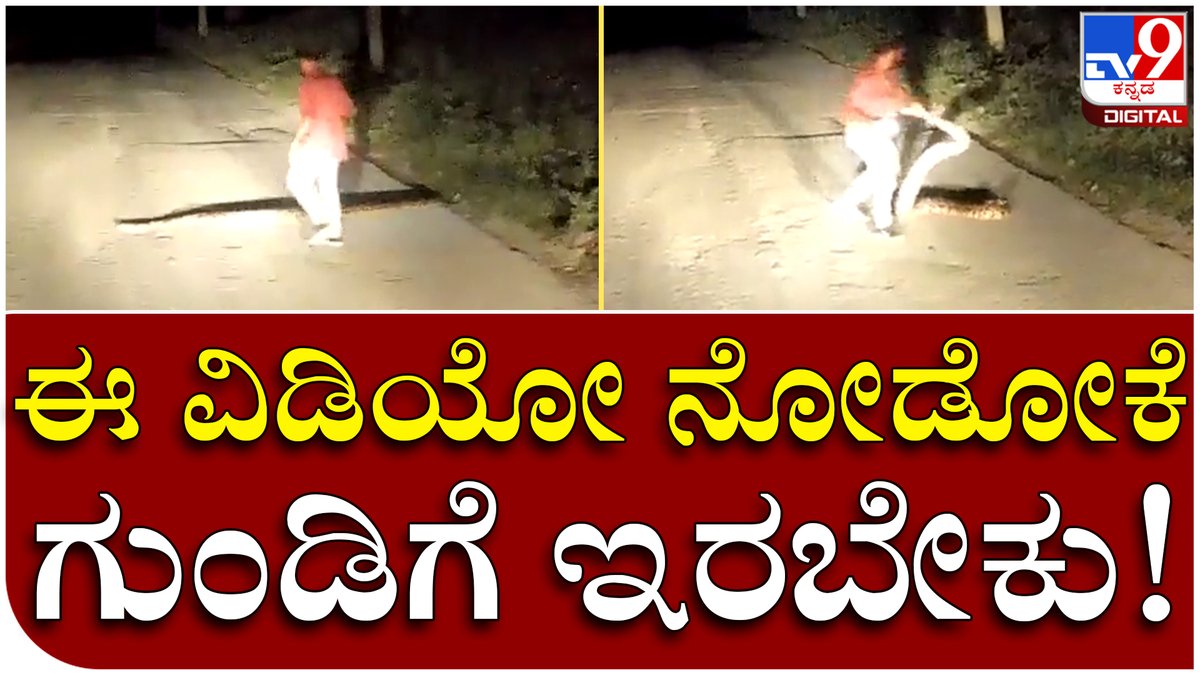 tv9kannada's tweet photo. Python: ರಸ್ತೆ ಮೇಲೆ ಮಲಗಿದ್ದ ಹೆಬ್ಬಾವನ್ನ ಕೈಯಿಂದ ಎತ್ತೆಸೆದ ಭೂಪ | Tv9 Kannada 

Video Link►https://t.co/wWhCxM8eeK

 #Panthom #BigPanthom #Road #ViralVideo #KannadaNews https://t.co/QDyMFZeCB9