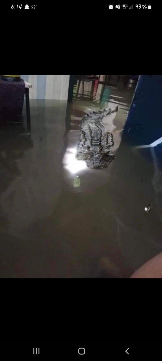 Nitrofan87's tweet photo. @EITMonline @dianeEITM @krysdubbs how bout this photo going arouns in Florida aftwr hurricane Ian. https://t.co/by93RFHXkx